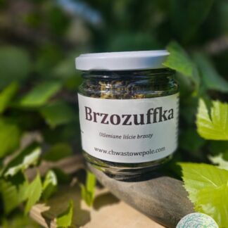 Brzozuffka - UTLENIANE LIŚCIE BRZOZY