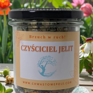 CZYŚCICIEL JELIT