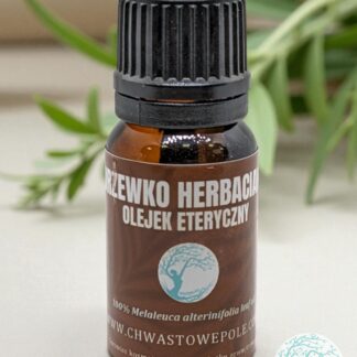 DRZEWKO HERBACIANE – naturalny olejek eteryczny