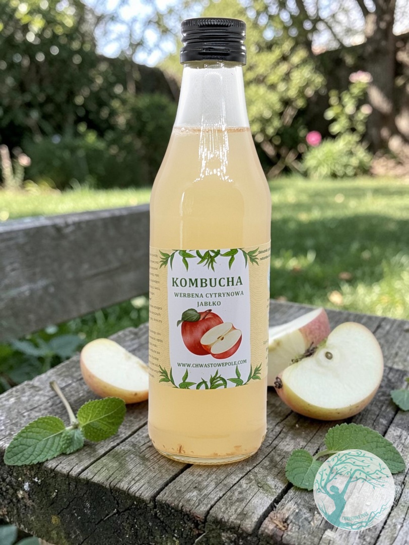 Kombucha - WERBENA CYTRYNOWA - JABŁKO - obrazek 2
