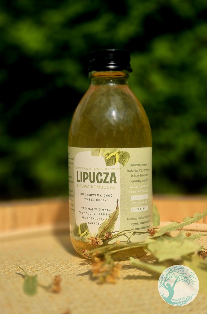 Lipucza-kombucha z lipy - obrazek 2