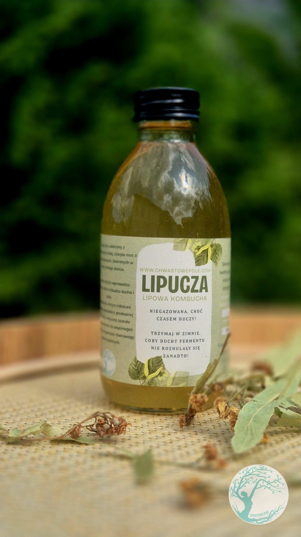 Lipucza-kombucha z lipy - obrazek 3