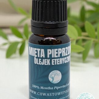 MIĘTA PIEPRZOWA – naturalny olejek eteryczny
