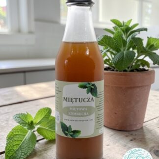 MIĘTUCHA – miętowa kombucha – 200 ml