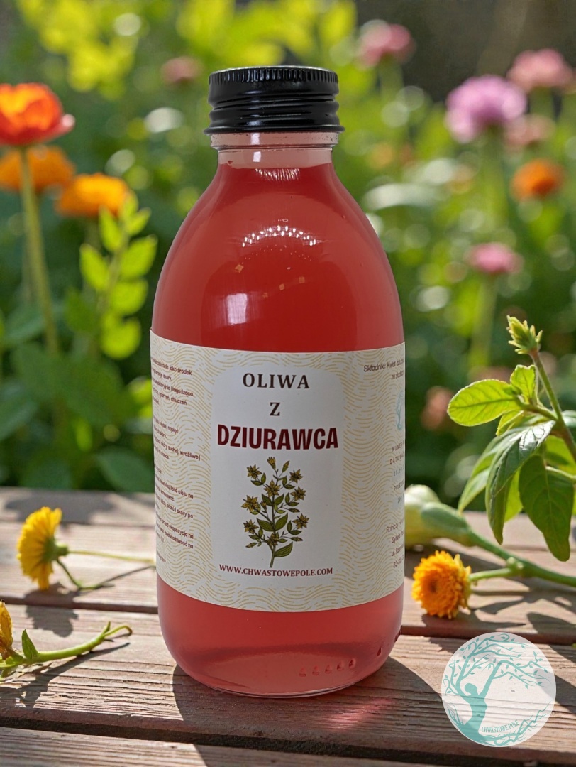 OLIWA Z DZIURAWCA - obrazek 2