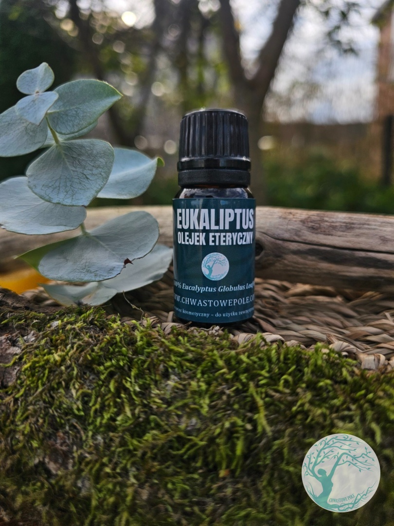 Olejek eteryczny z eukaliptusa – naturalny – 10 ml - obrazek 2