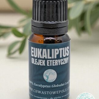 Olejek eteryczny z eukaliptusa – naturalny – 10 ml