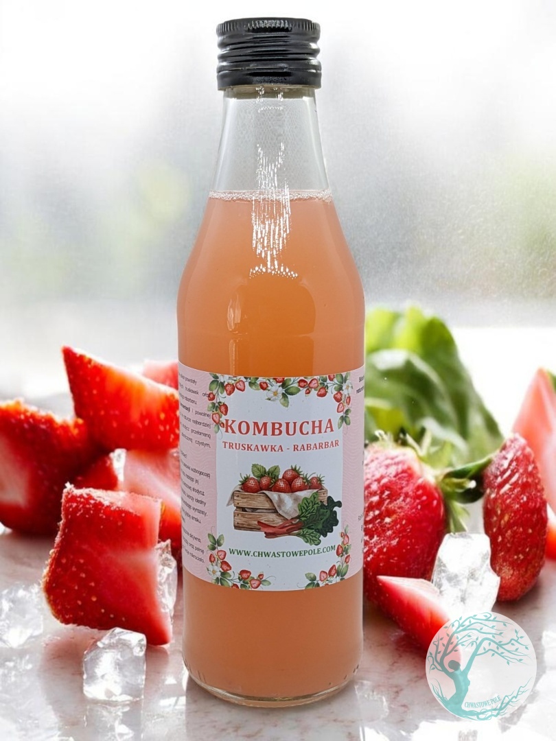 Kombucha Truskawka - Rabarbar