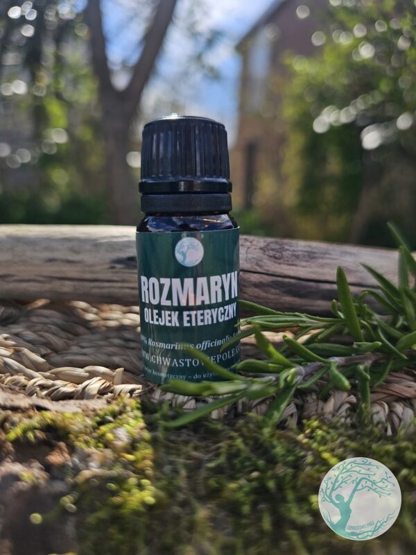 ROZMARYN – naturalny olejek eteryczny - obrazek 2