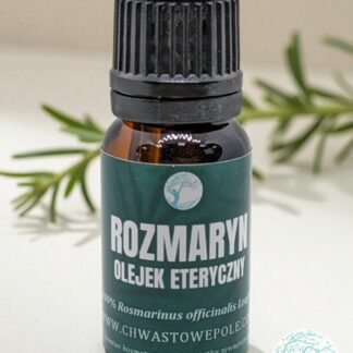 ROZMARYN – naturalny olejek eteryczny