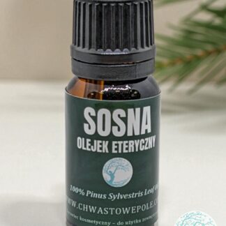 SOSNA – naturalny olejek eteryczny