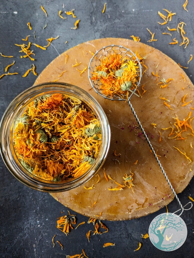 SUSZONY NAGIETEK LEKARSKI – Calendula Officinalis – słoik 500 ml