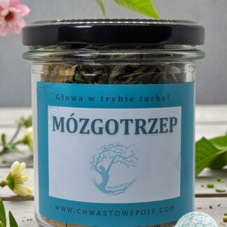 Mózgotrzep