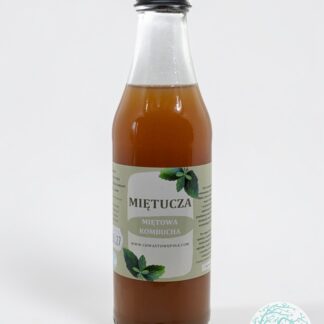 Kombucha Miętucha