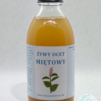 ŻYWY OCET Z MIĘTY PIEPRZOWEJ